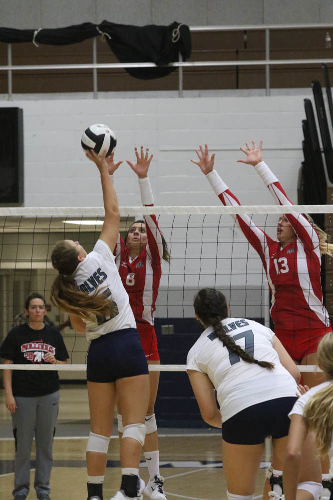 Gallery: Girls volleyball - Crown Point at Michigan City